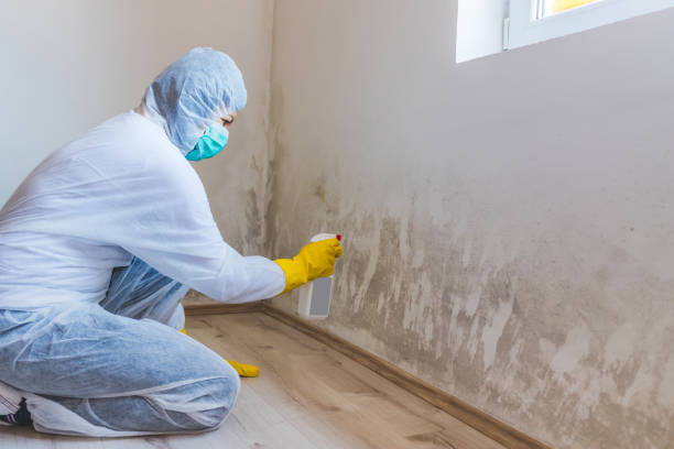Commercial Mold Remediation assessment for commercial property in Mebane